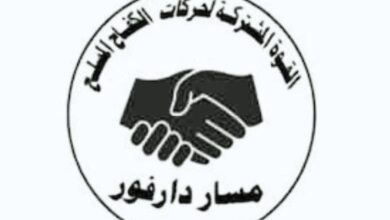 القوات المشتركة لحركات دارفور