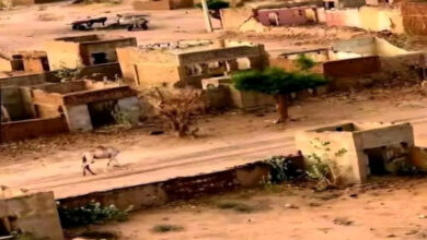 تشليع ونهب ممنهج لمنازل مدينة النهود بغرب كردفان