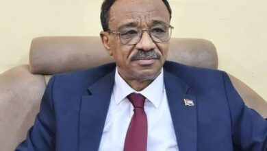 وزير التعليم العالي يقرر عودة نهائية للجامعات من خارج السودان