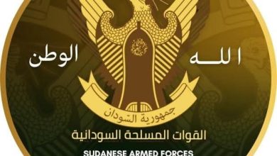 الجيش يعلن إسقاط طائرتين مسيرتين في محور شمال كردفان
