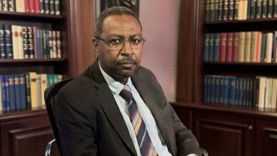 أمجد فريد يكشف معلومات جديدة